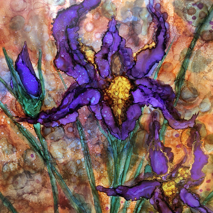 Purple Irises : Prints